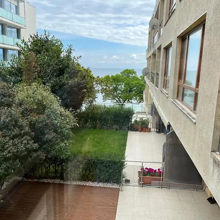 Vadim In Panorama Vigo